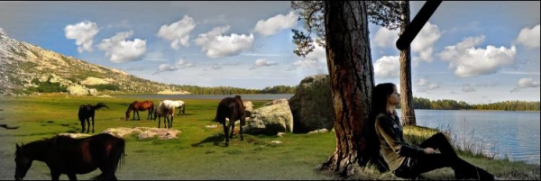 Creation of wild horses: Step 7